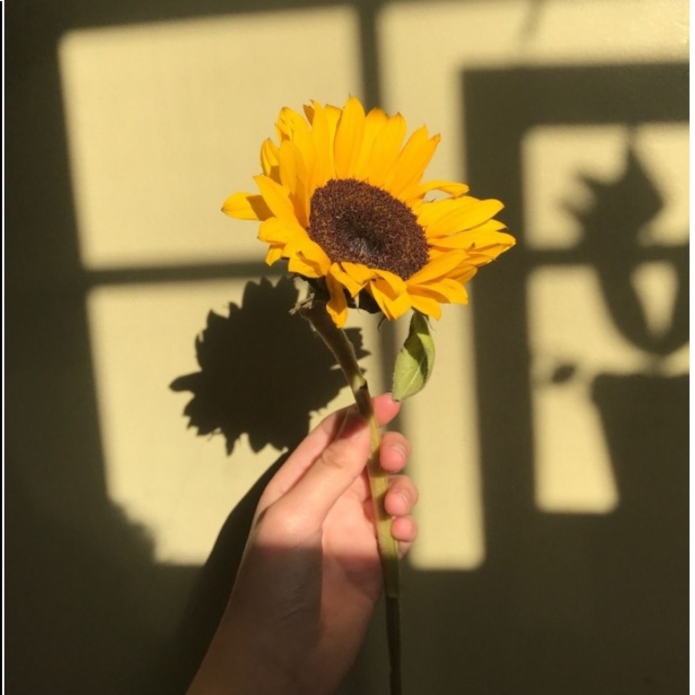 Meet your Posher, Mariah